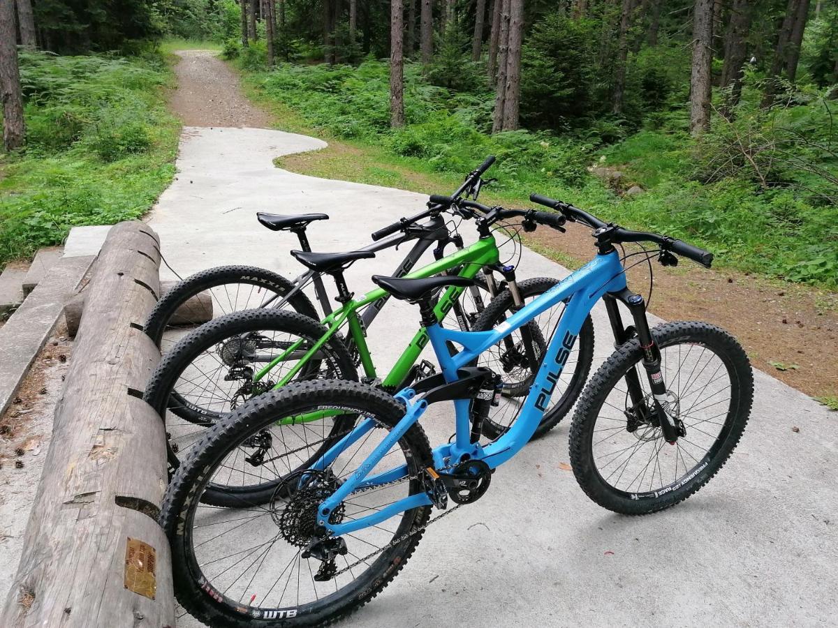 White Lavina - Ski, Bike, Hike バンスコ エクステリア 写真
